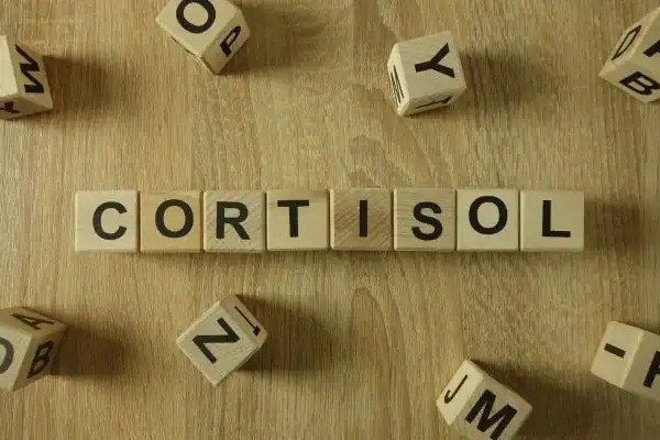 The Hidden Connection: How Stress Shapes Your Fitness and Body Composition 2 Image saying "Cortisol" and how stress Windlesham impacts your wellbeing and bodies shape